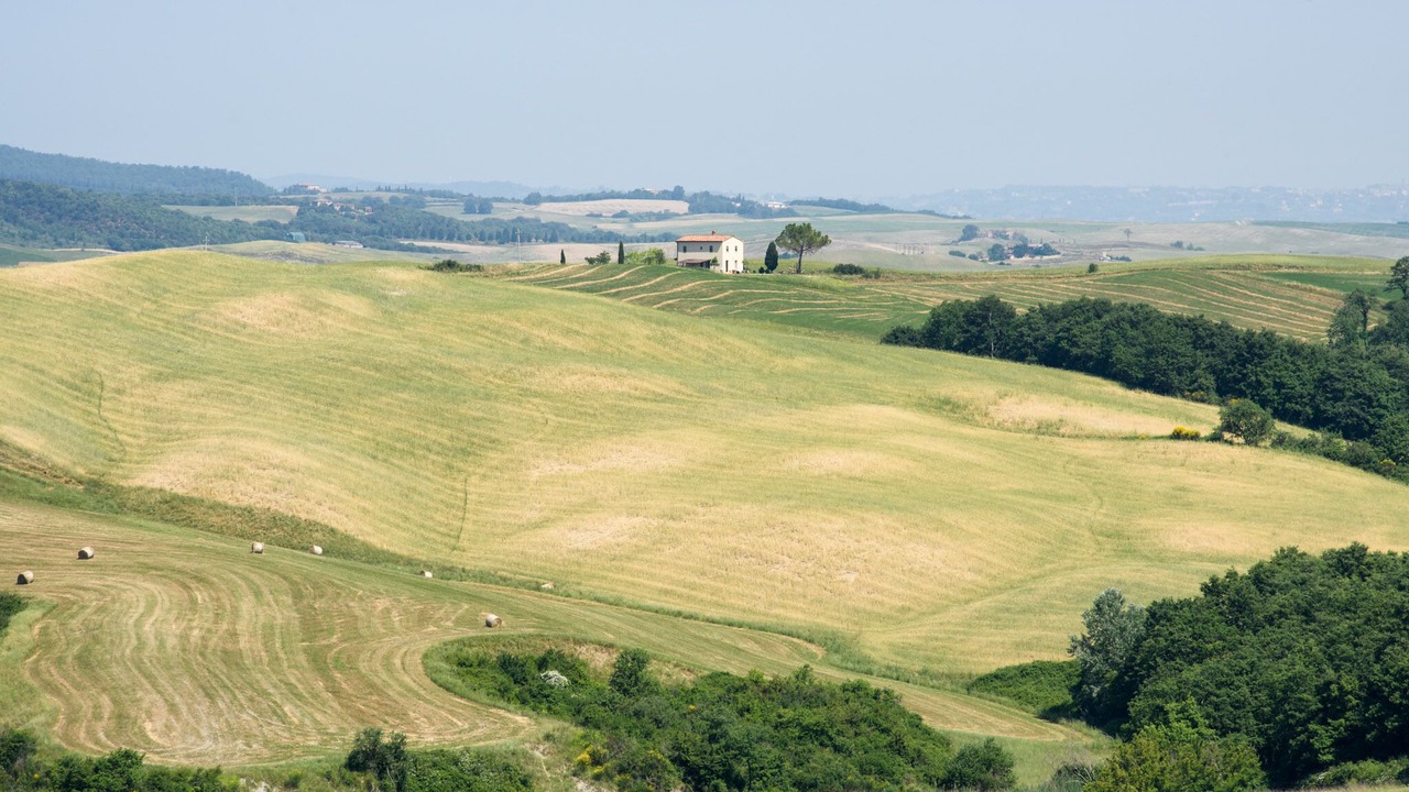 Photo of Others in Buonconvento