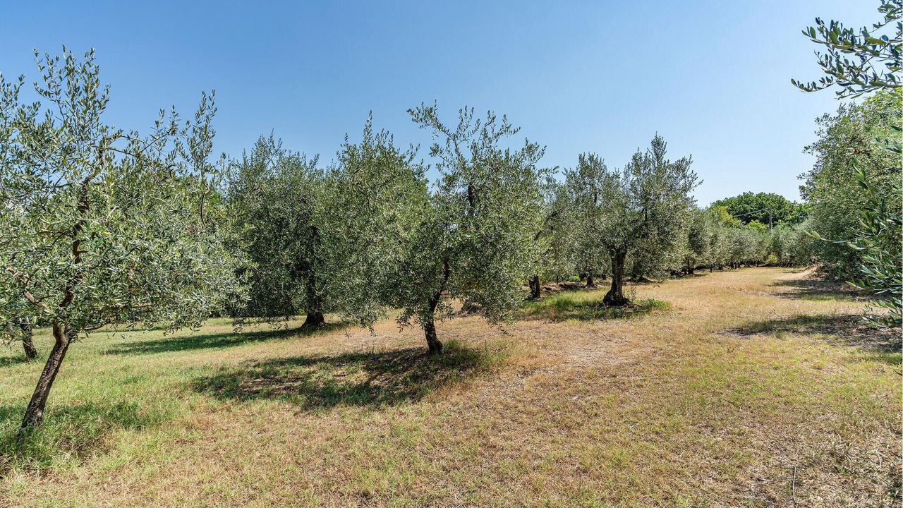 Photo of Others in Monte San Savino