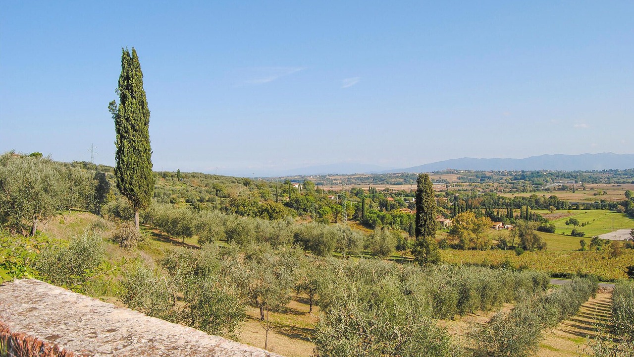 Photo of Others in Monte San Savino