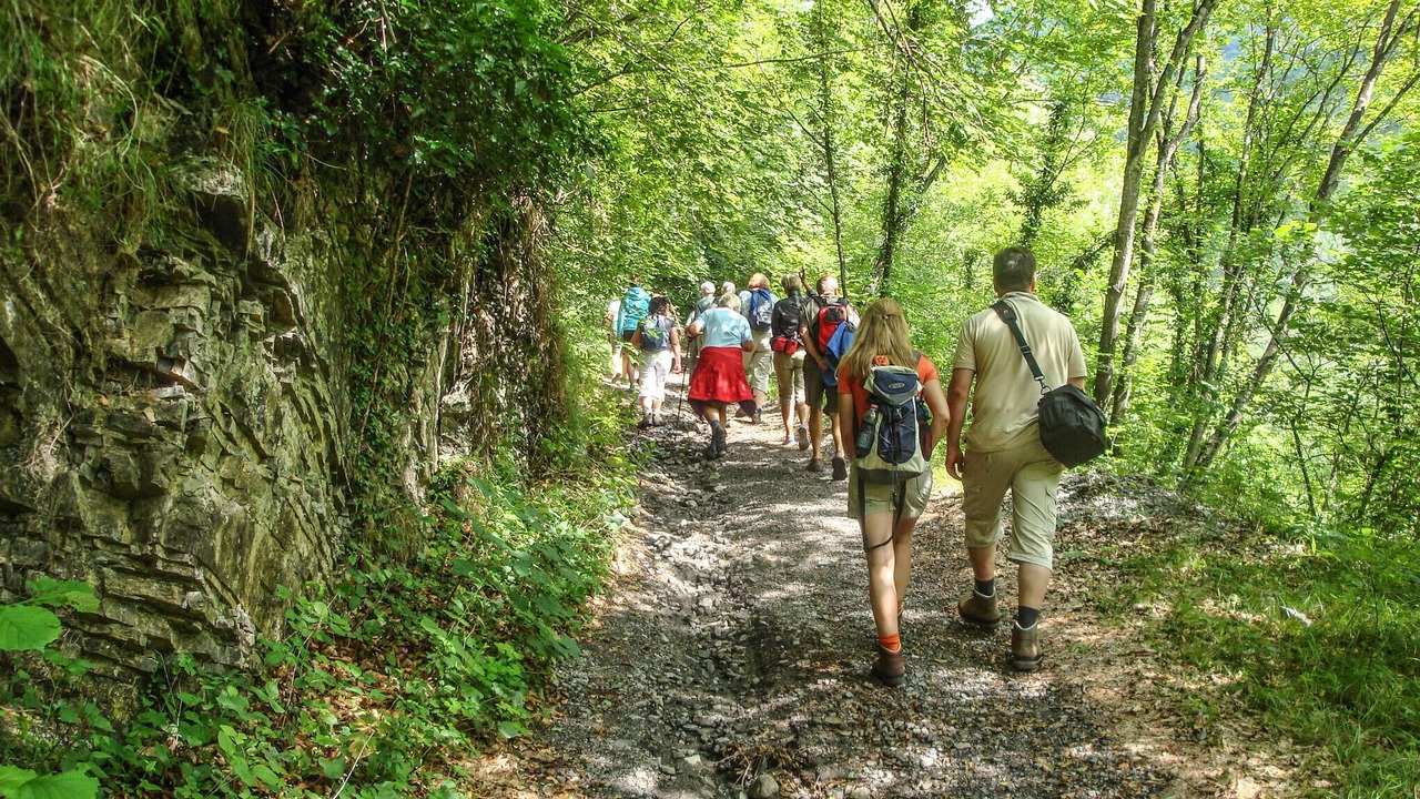 Photo of Others in Monte San Savino