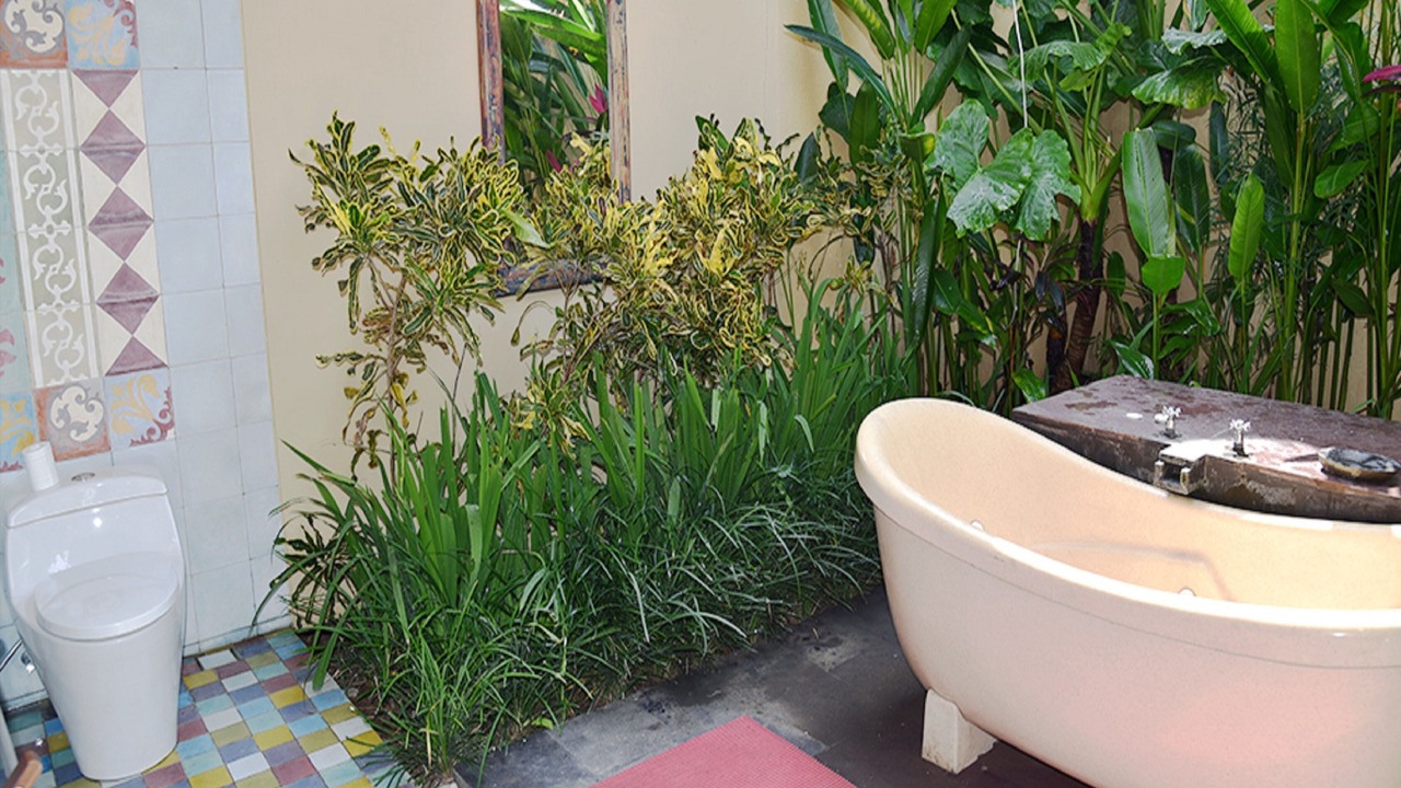 Photo of Outdoor in Sayan
