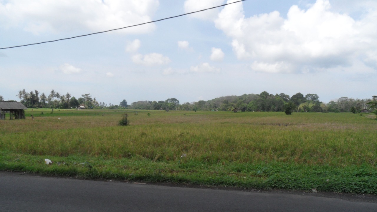 Photo of Others in Tabanan