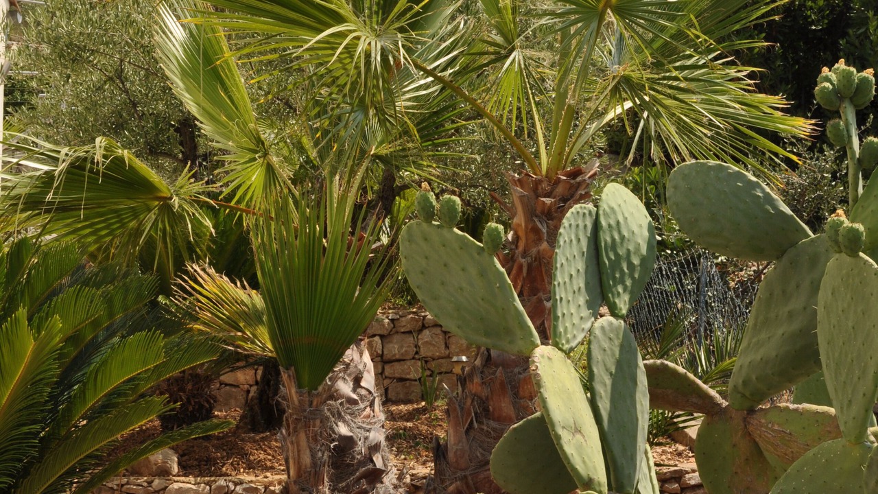 Photo of Outdoor in Aspremont