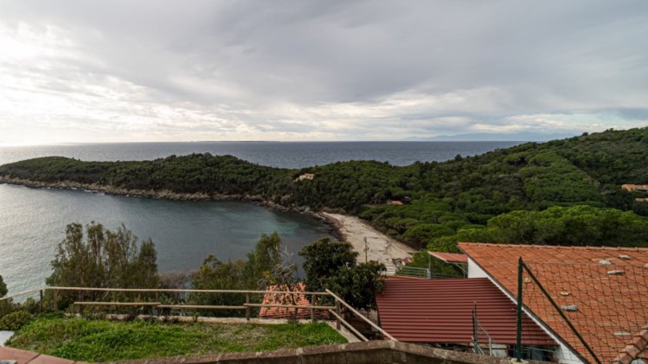 Photo of Others in Campo nell'Elba