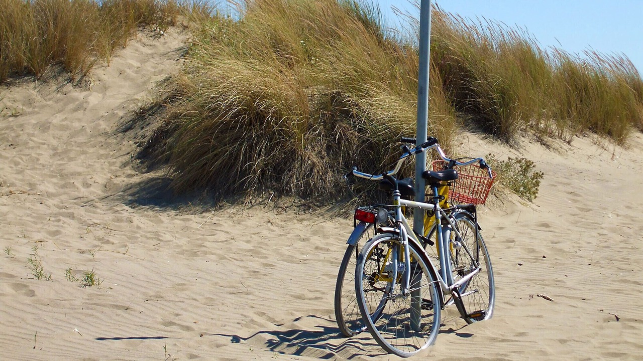 Photo of Others in Marina di Grosseto