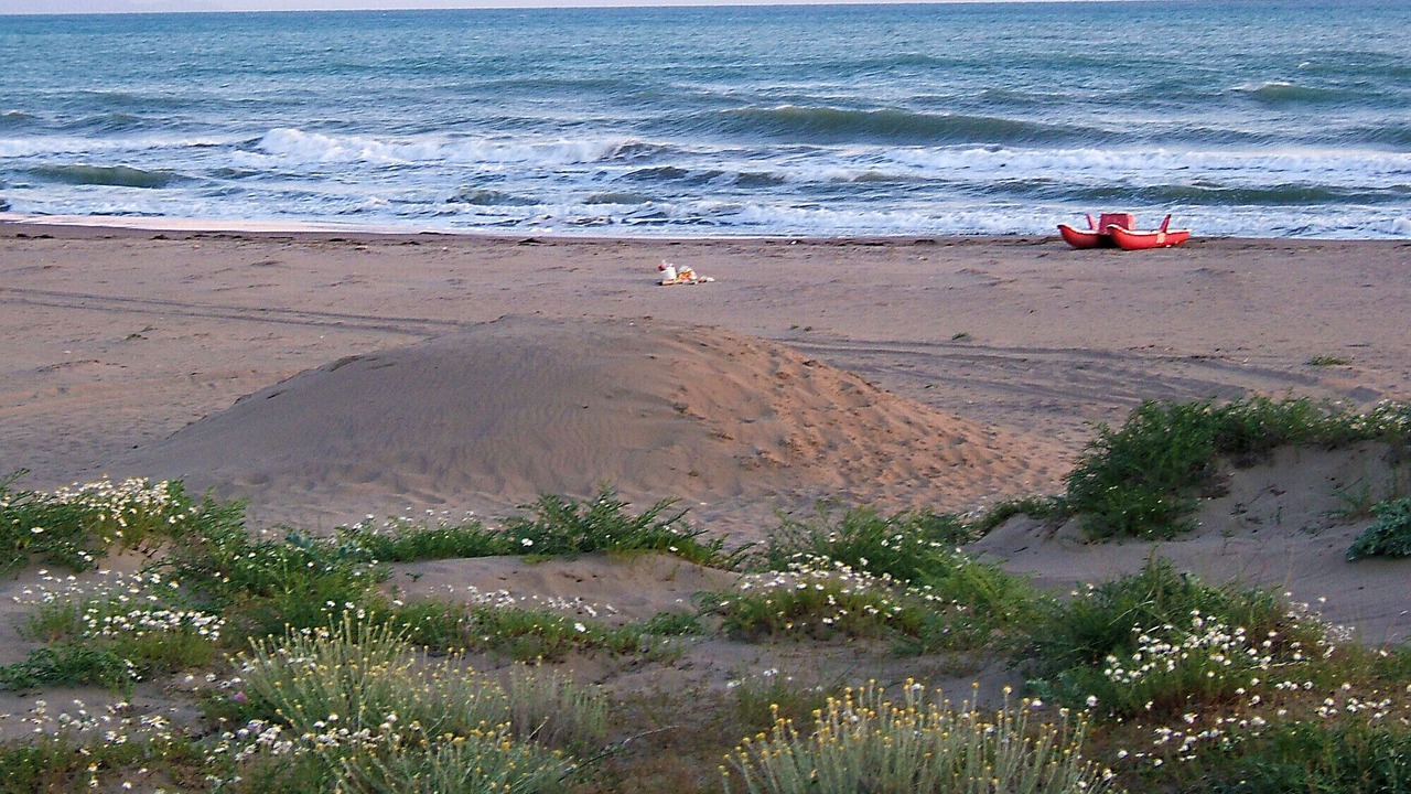 Photo of Others in Marina di Grosseto