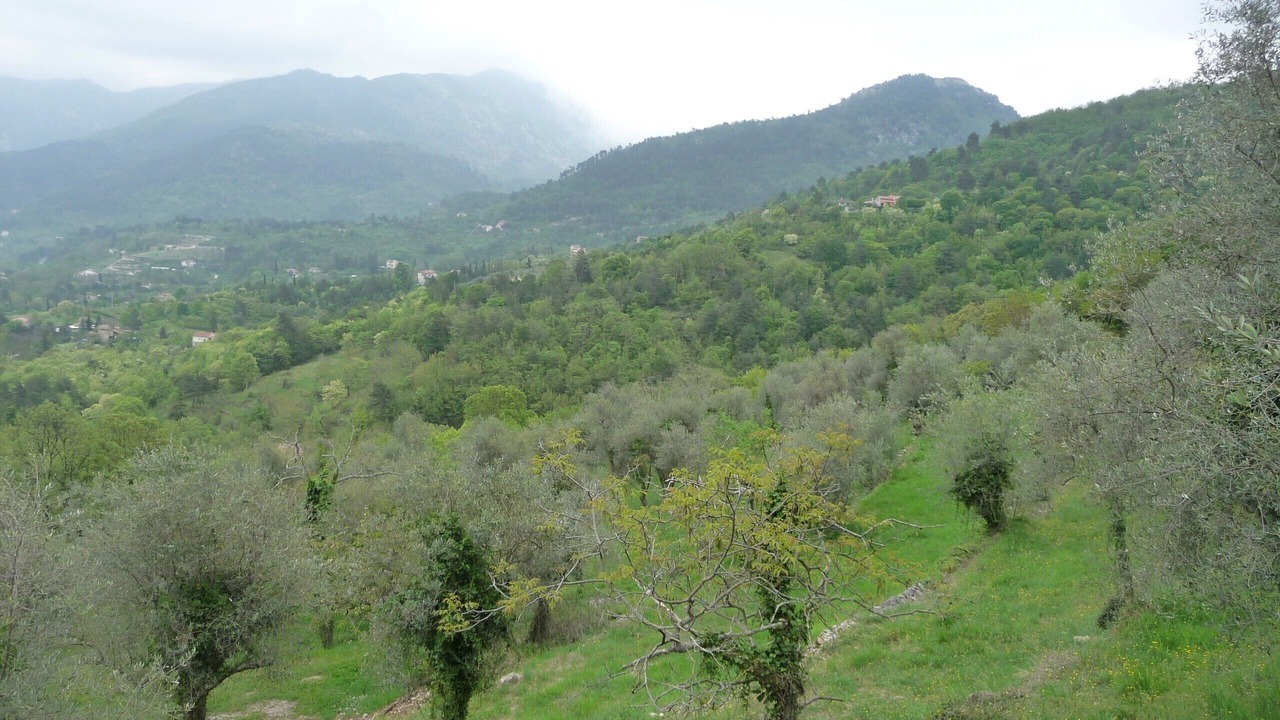 Photo of Outdoor in Sospel