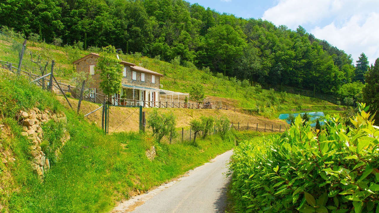 Photo of Outdoor in Petrognano