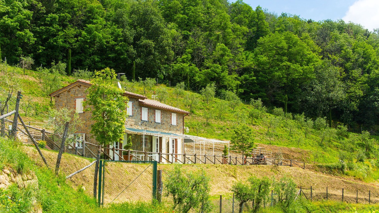 Photo of Outdoor in Petrognano