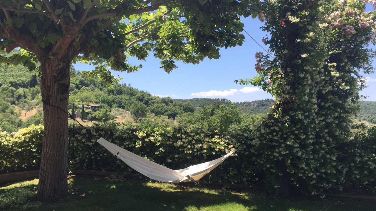 Photo of Outdoor in Paciano