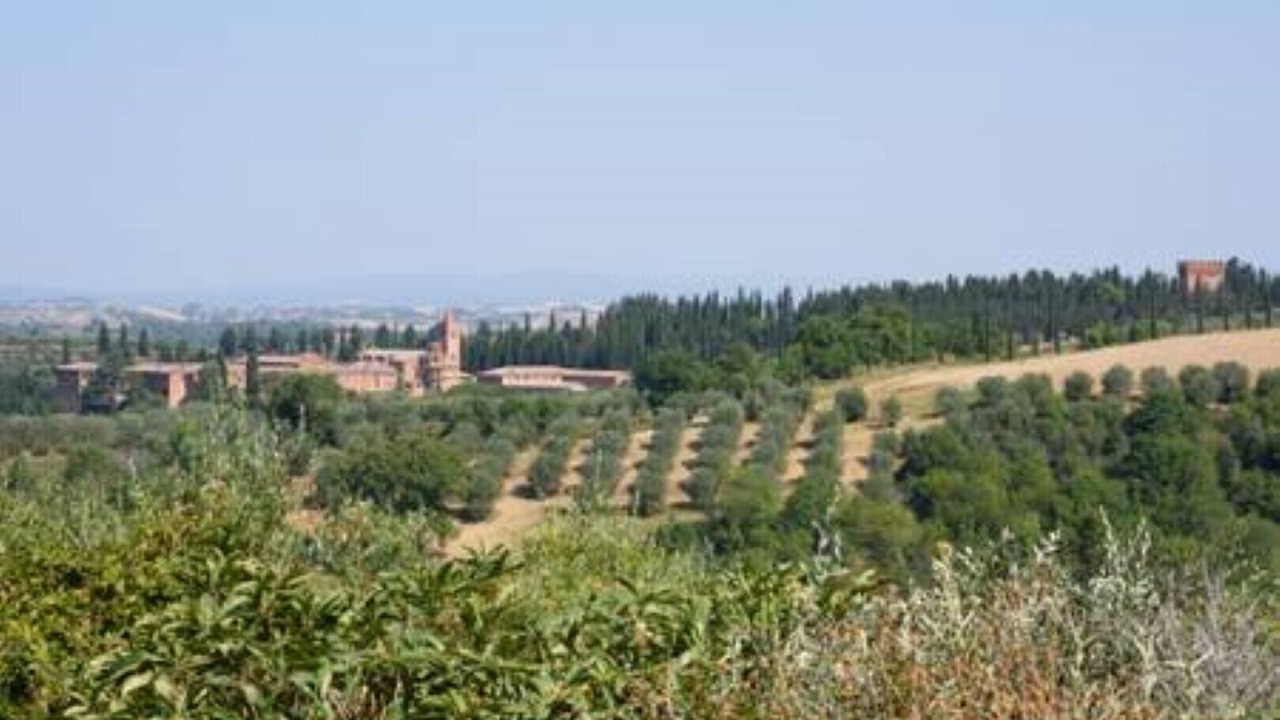 Photo of Others in Bollano