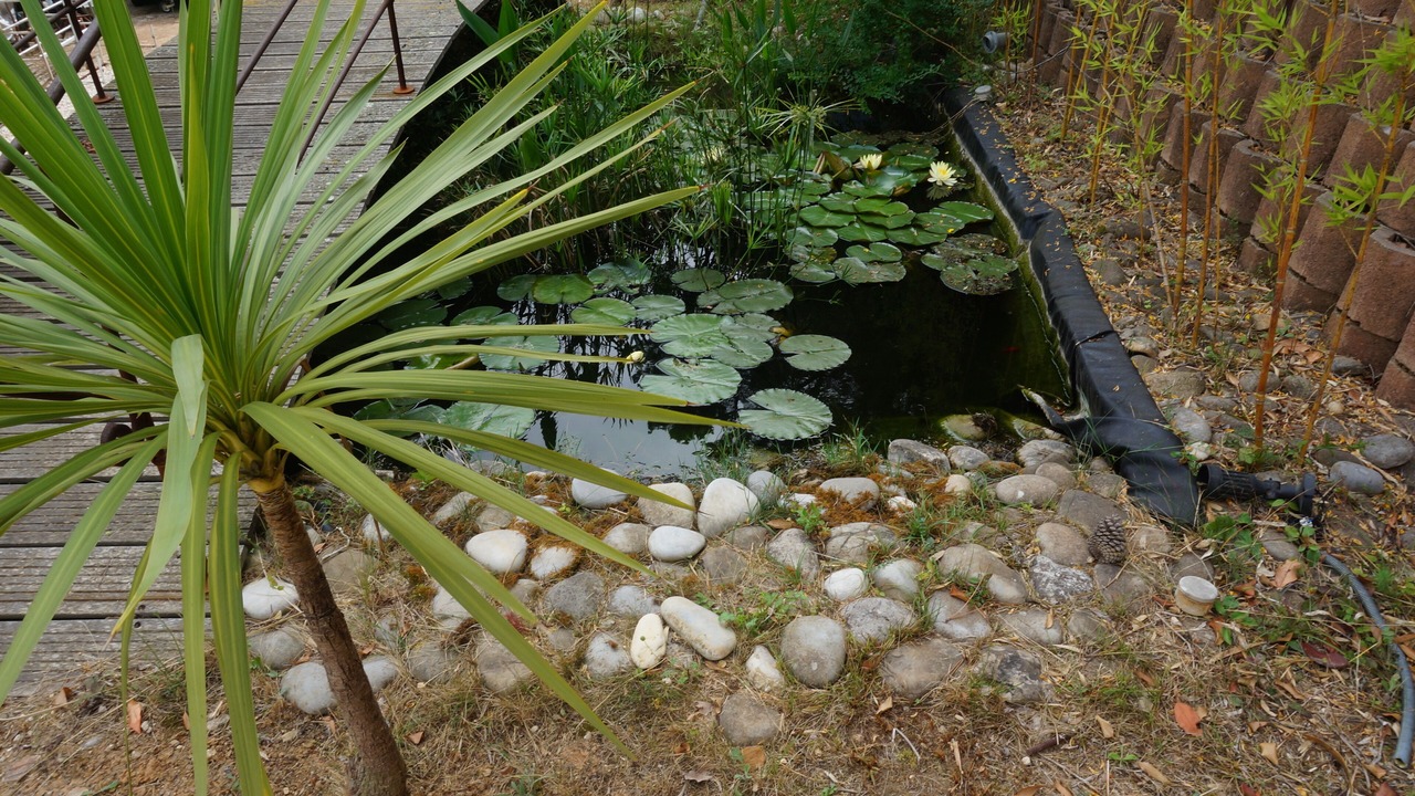 Photo of Outdoor in Colomars