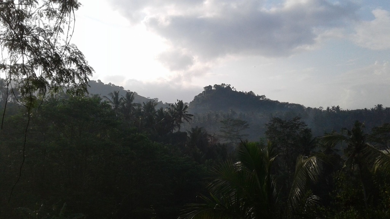Photo of Outdoor in Sidemen