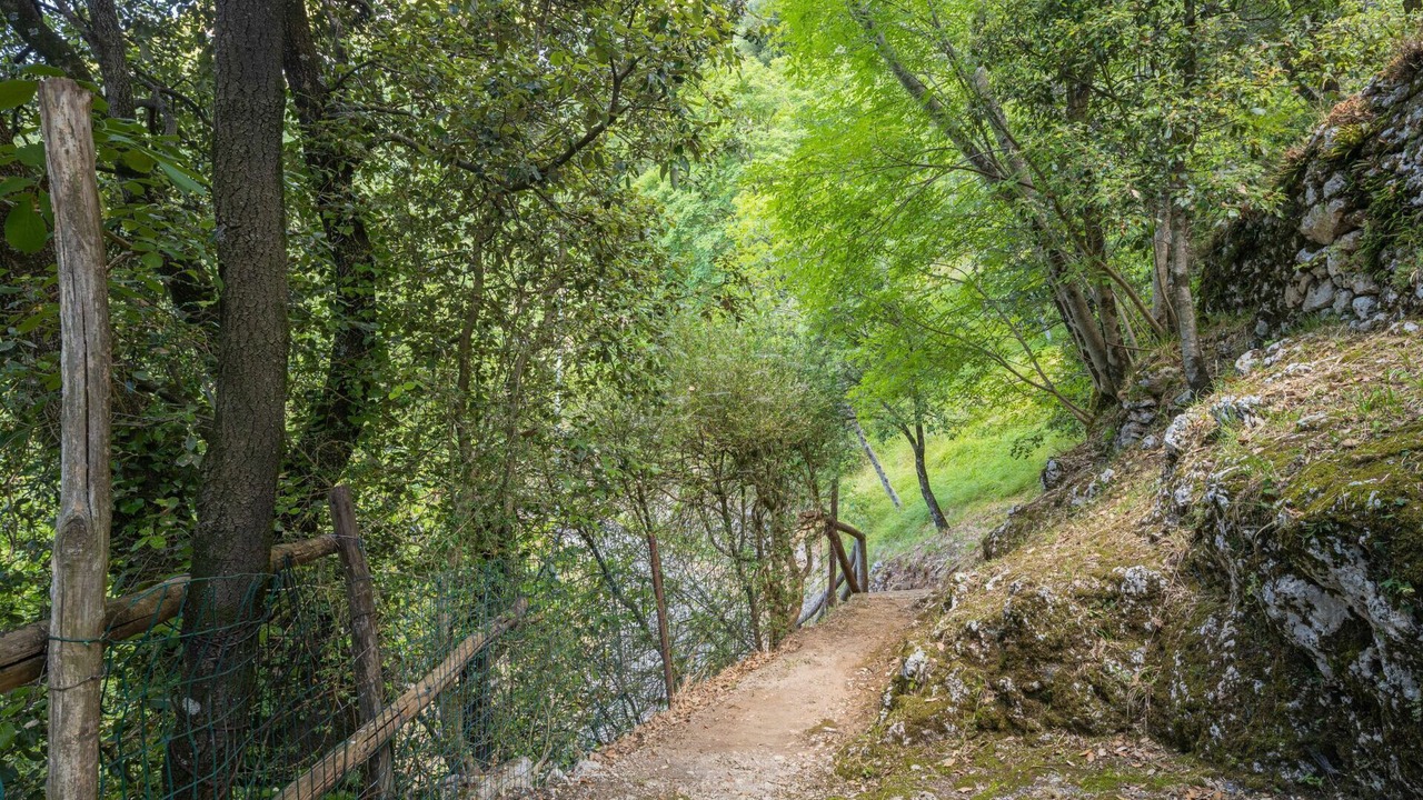 Photo of Others in Stazzema