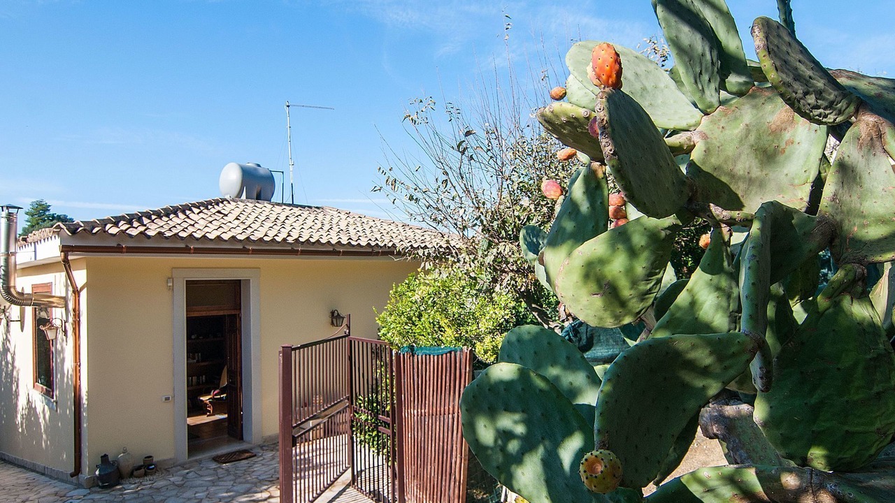Photo of Outdoor in Noto Marina