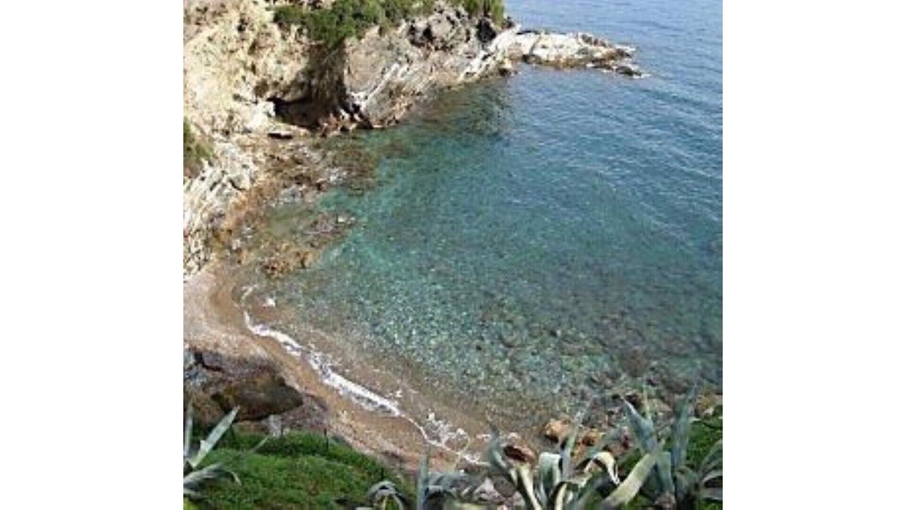 Photo of Others in Elba Island