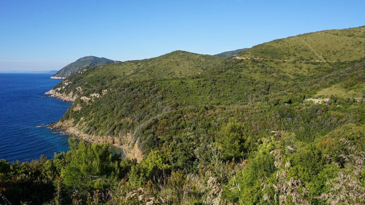 Photo of Others in Rio nell'Elba