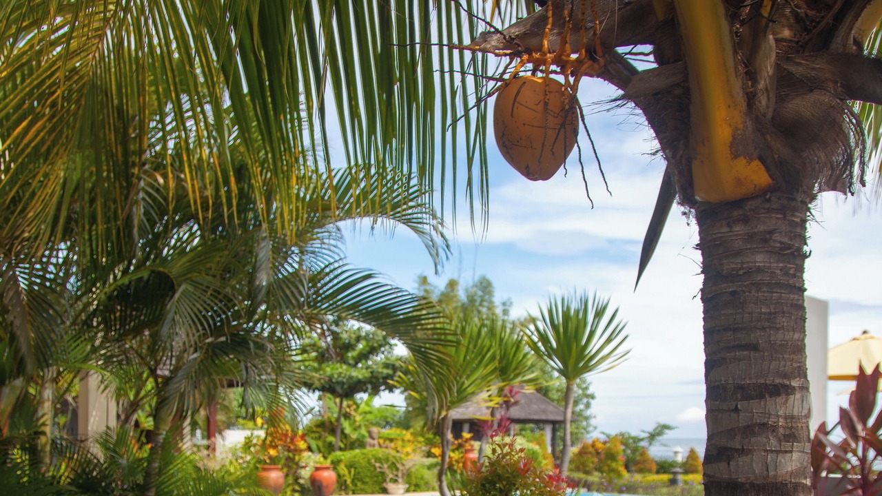 Photo of Outdoor in Banjartegehe