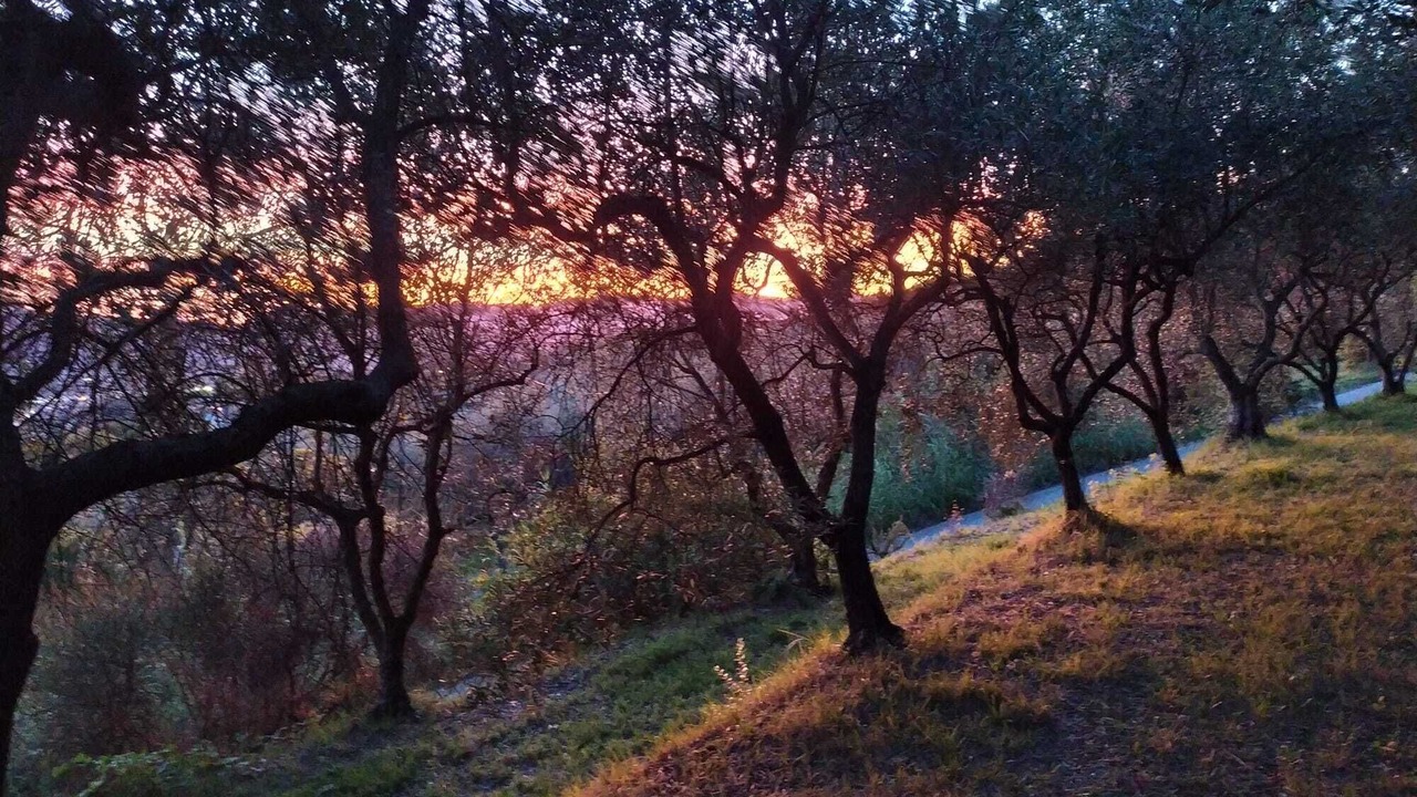 Photo of Others in Fosdinovo