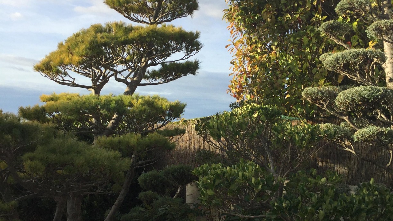 Photo of Outdoor in Cagnes-sur-Mer