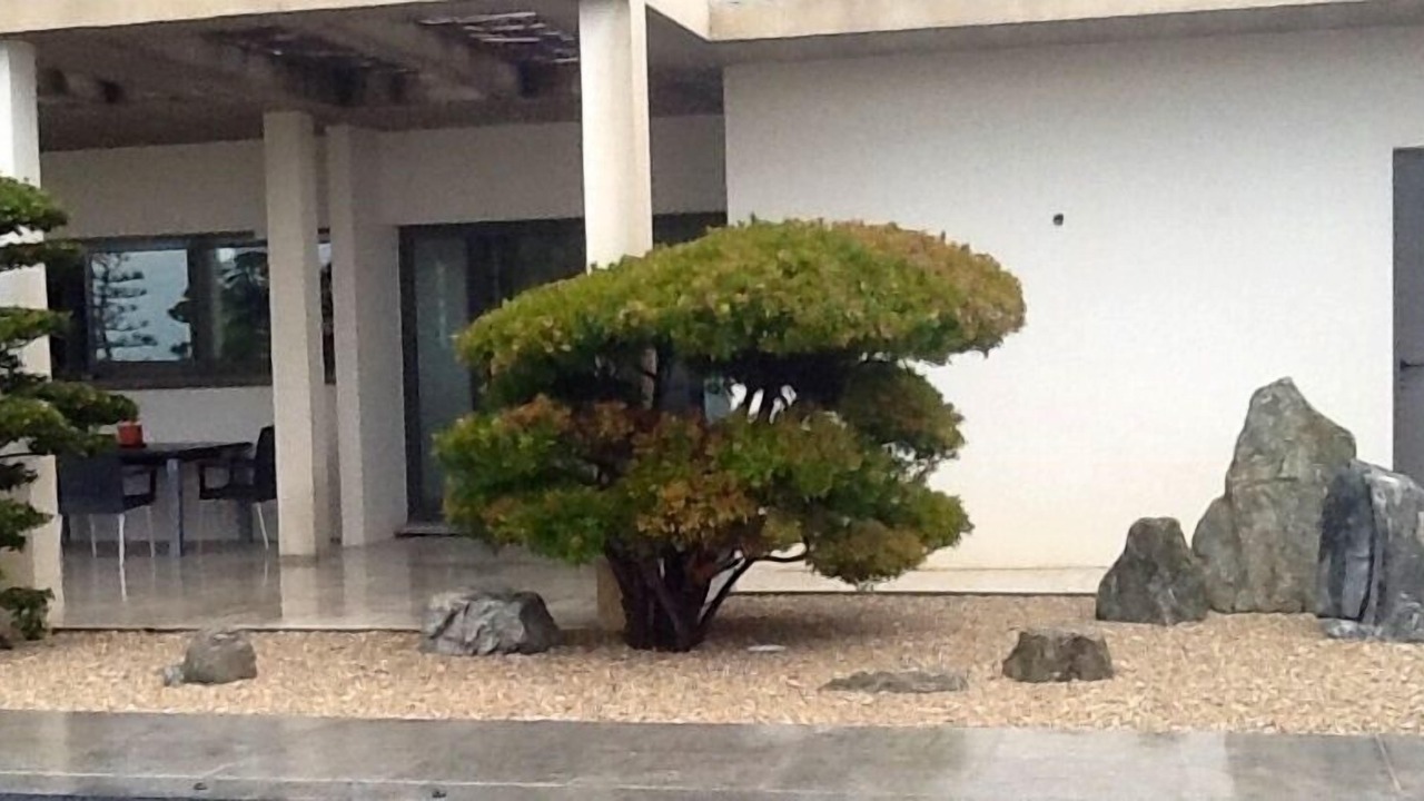 Photo of Patio Balcony in Cagnes-sur-Mer