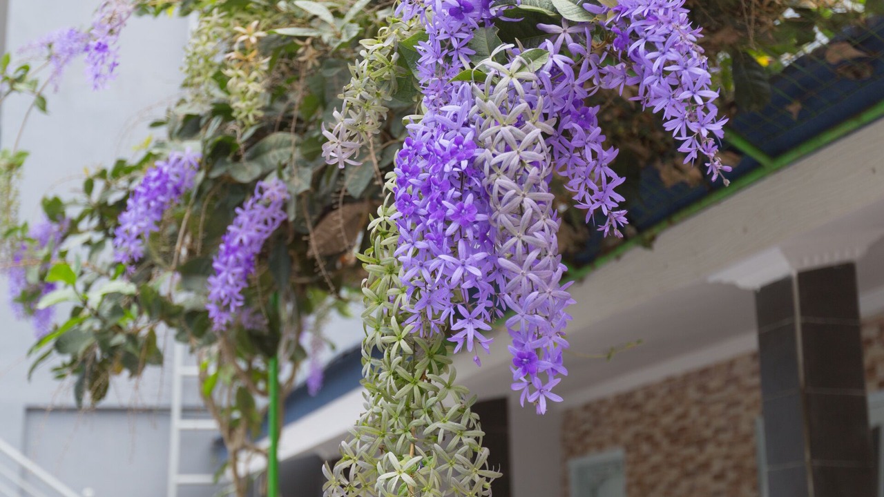 Photo of Outdoor in Berawa