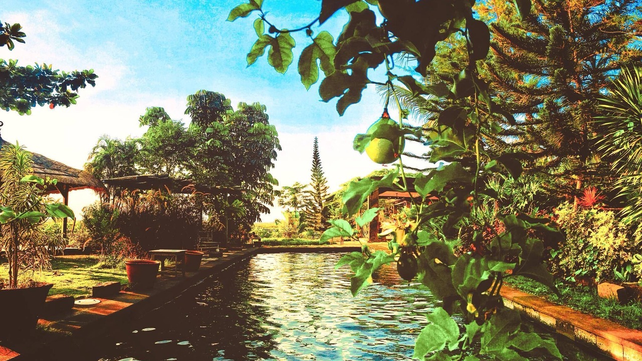 Photo of Outdoor in Abiansemal