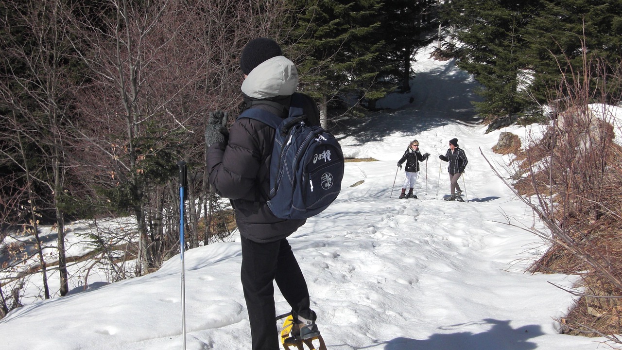 Photo of Others in Abetone