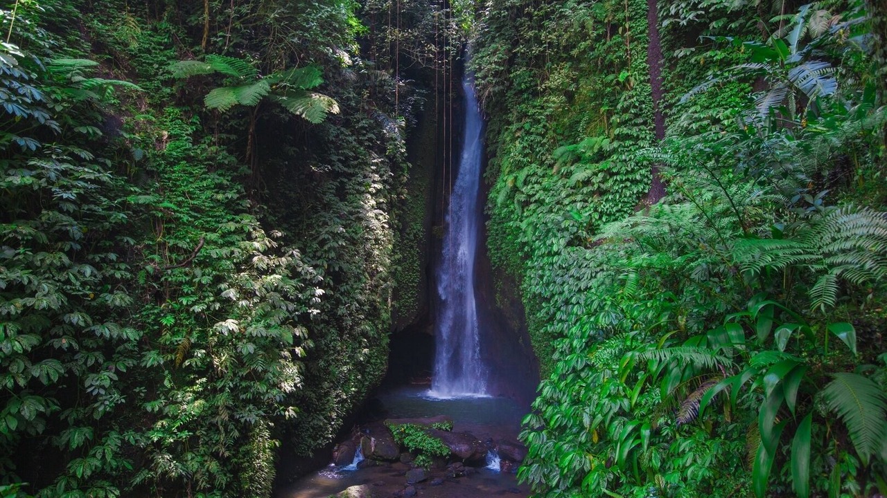 Photo of Outdoor in Mekarsari