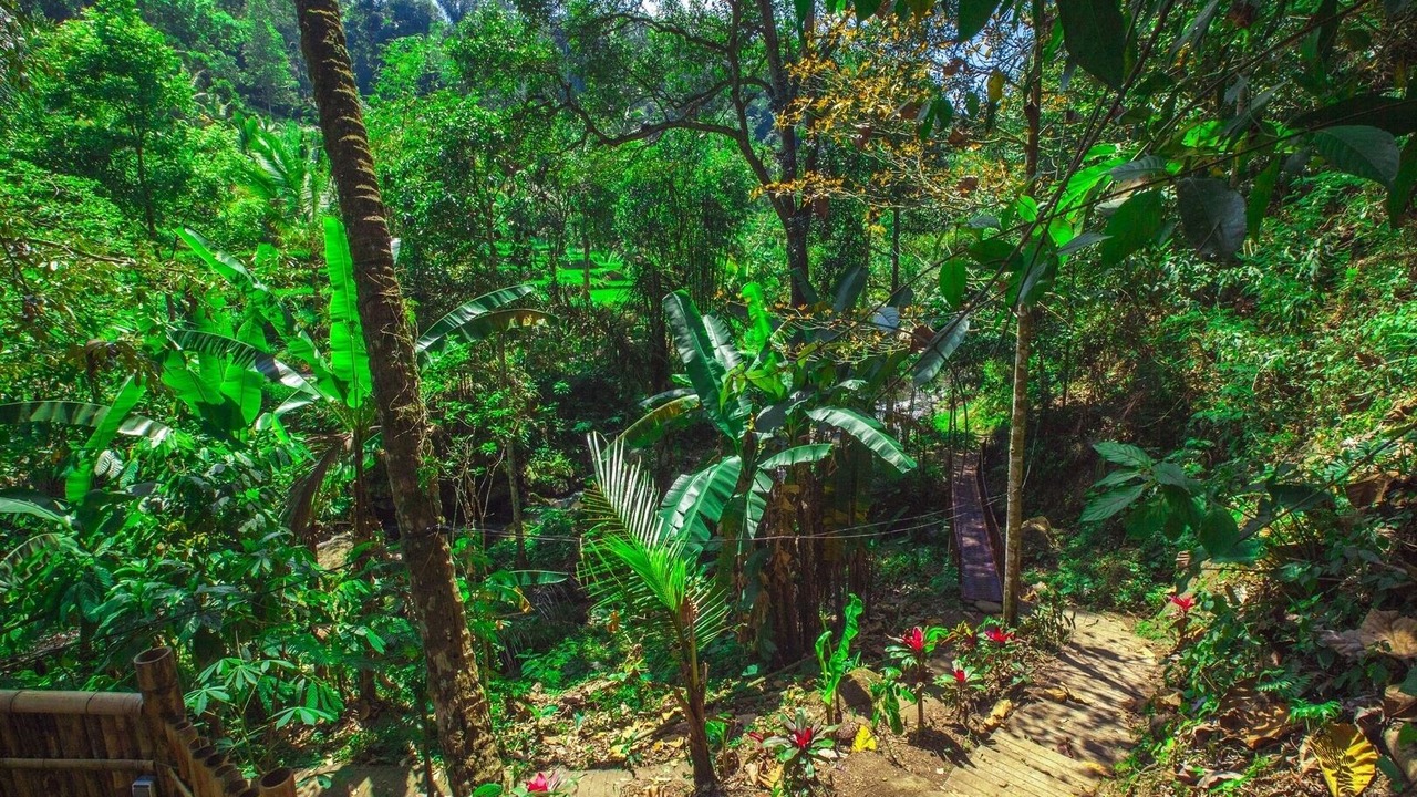 Photo of Outdoor in Mekarsari