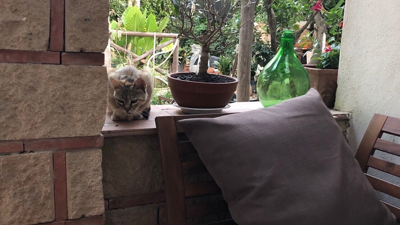 Photo of Outdoor in Sorrento