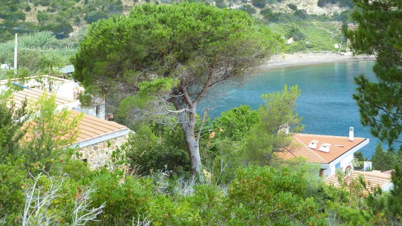 Photo of Others in Rio nell'Elba