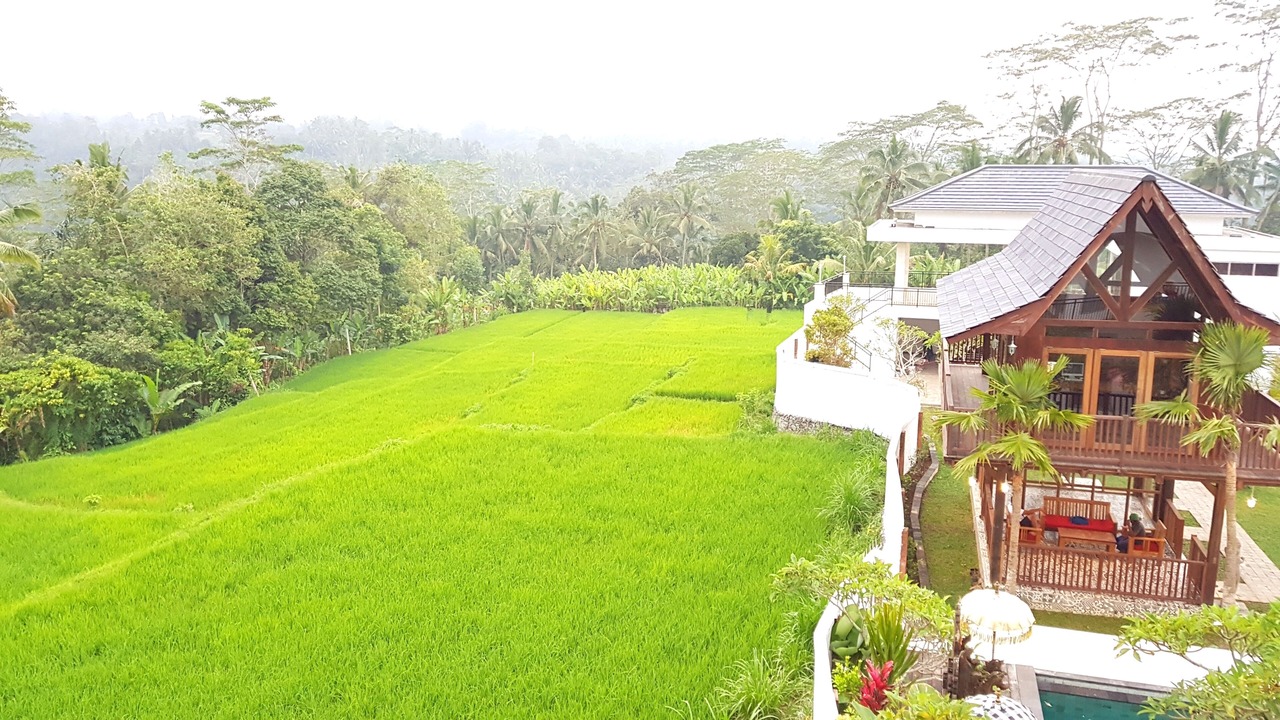 Photo of Outdoor in Payangan