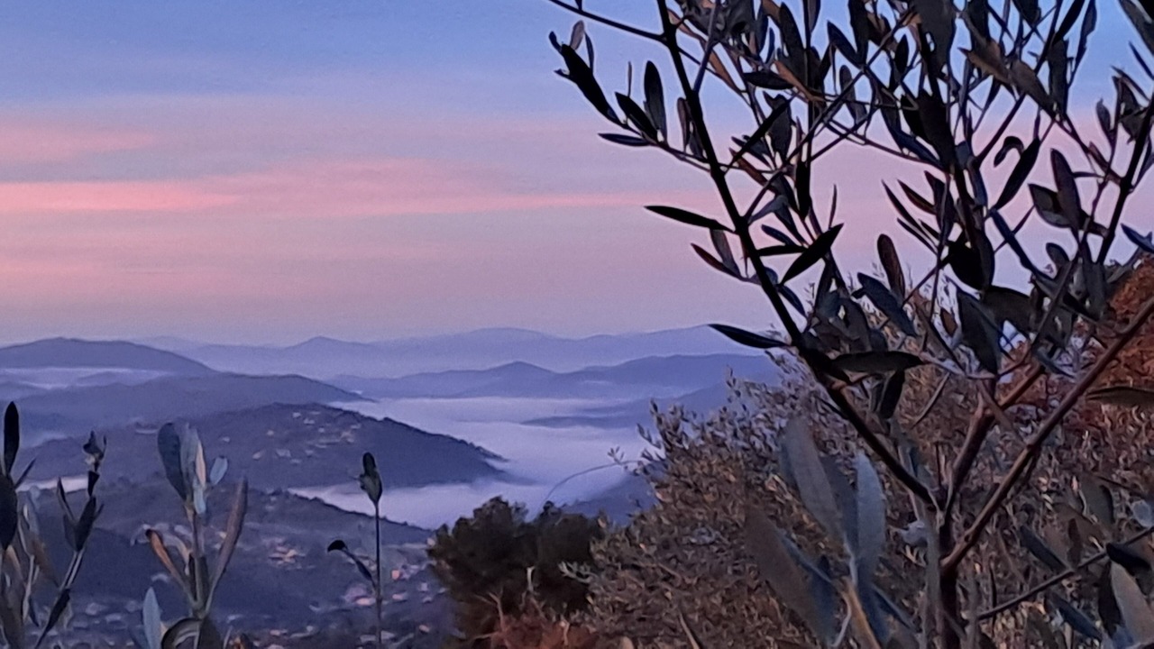 Photo of Outdoor in Cabris
