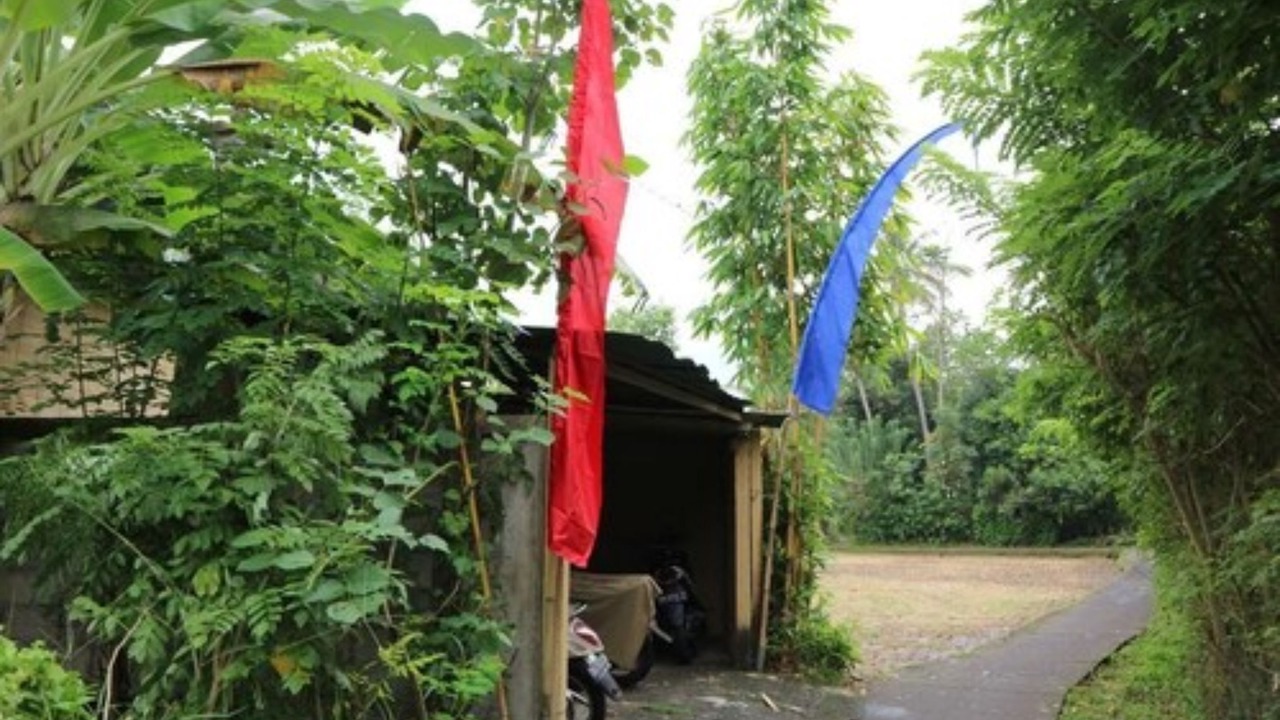 Photo of Outdoor in Sayan