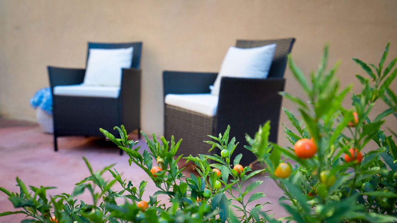 Photo of Patio Balcony in Collodi