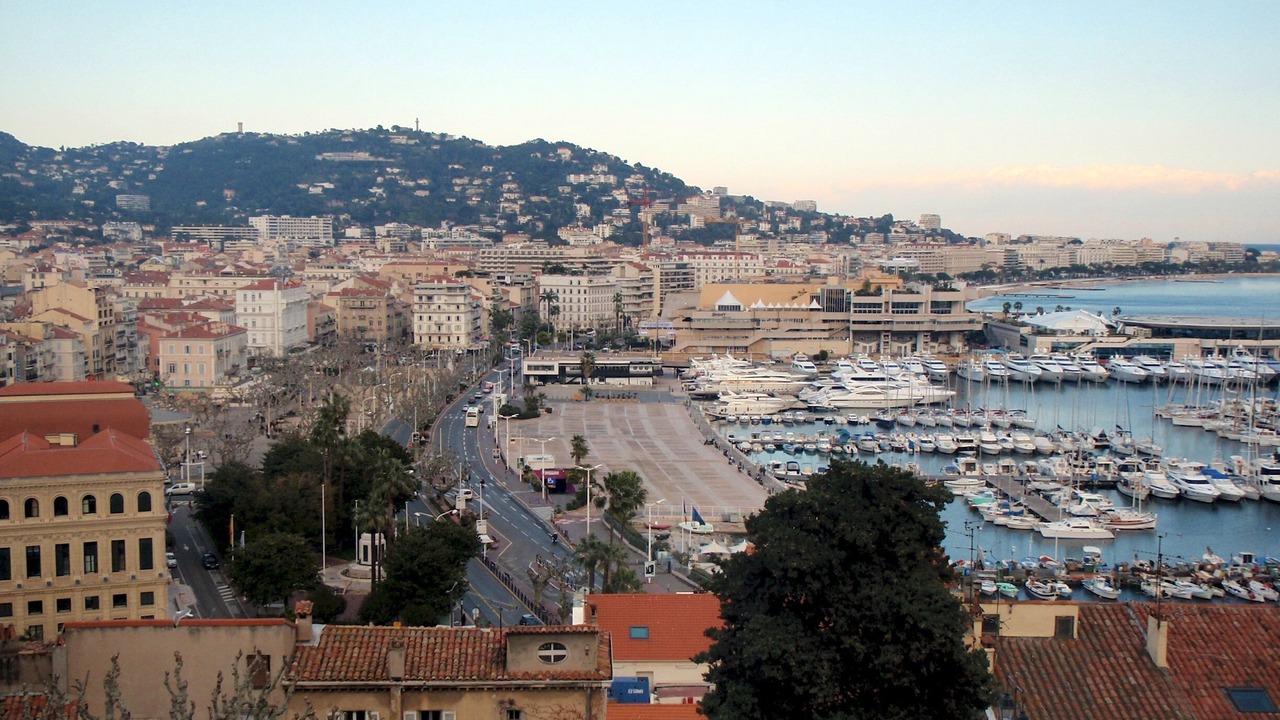 Photo of Others in Cannes City Centre