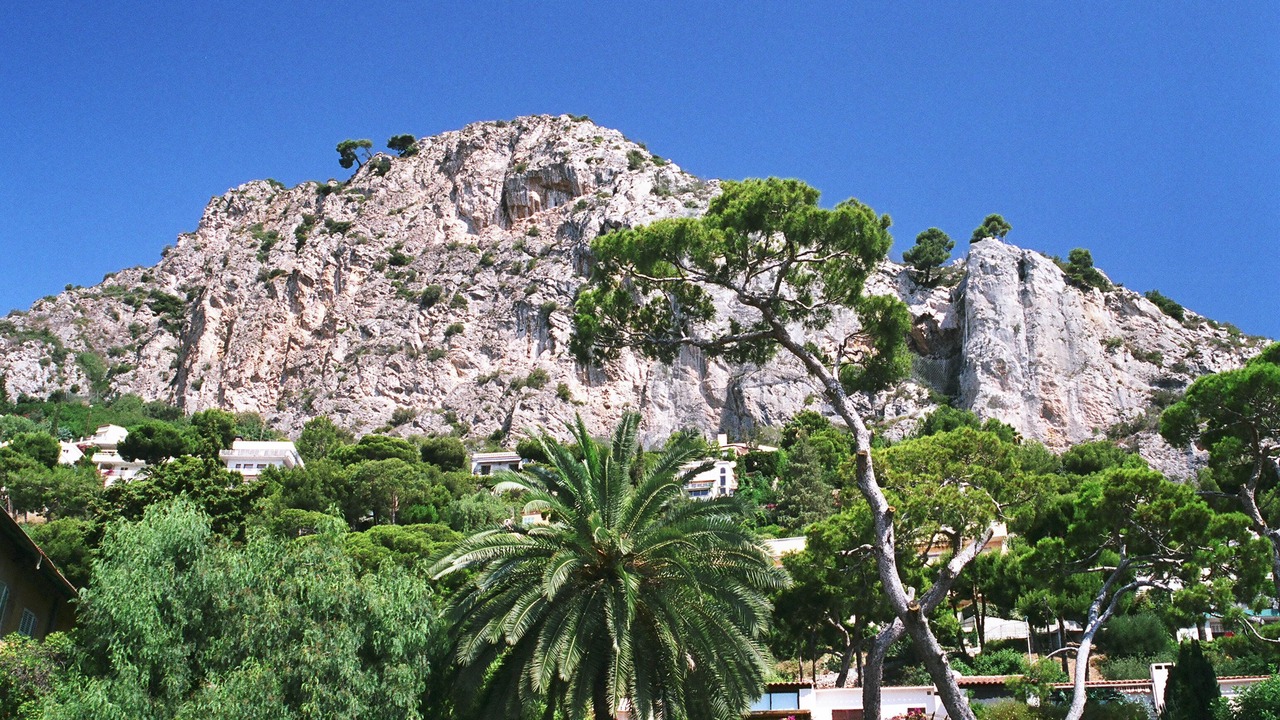 Photo of Others in Cannes City Centre