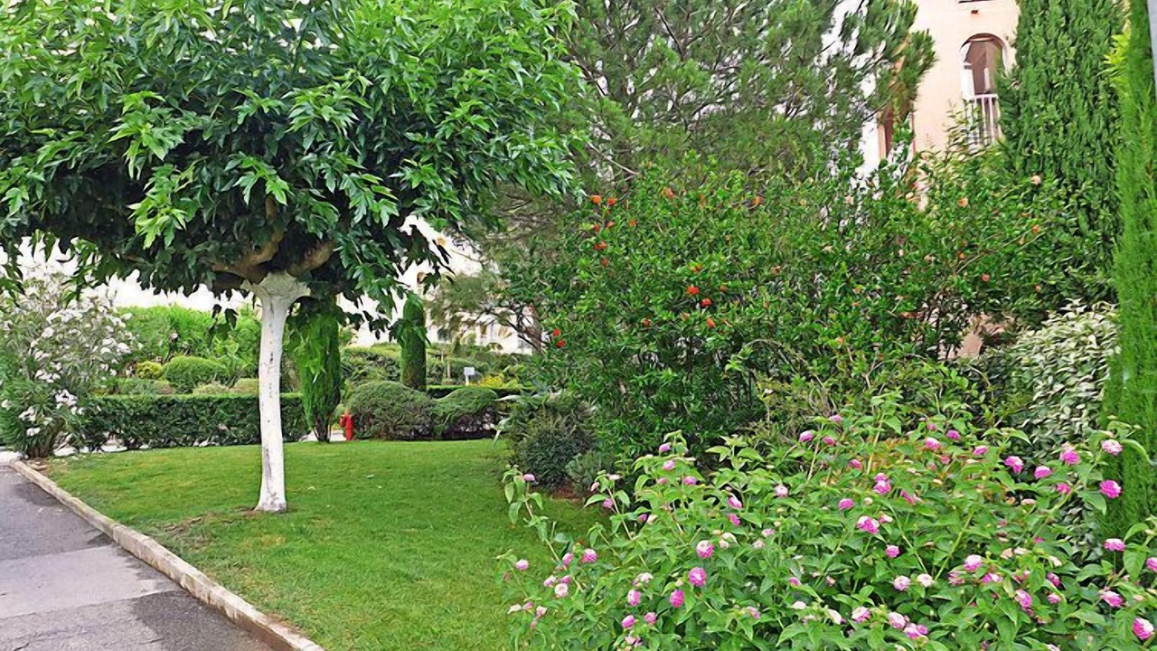 Photo of Outdoor in Frejus