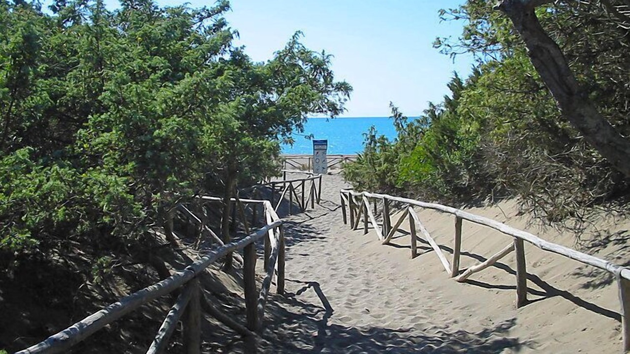 Photo of Others in Marina di Bibbona