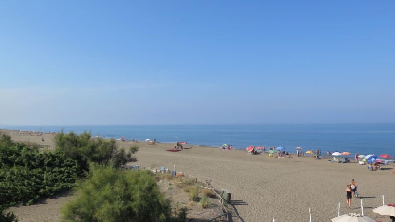 Photo of Others in Marina di Bibbona