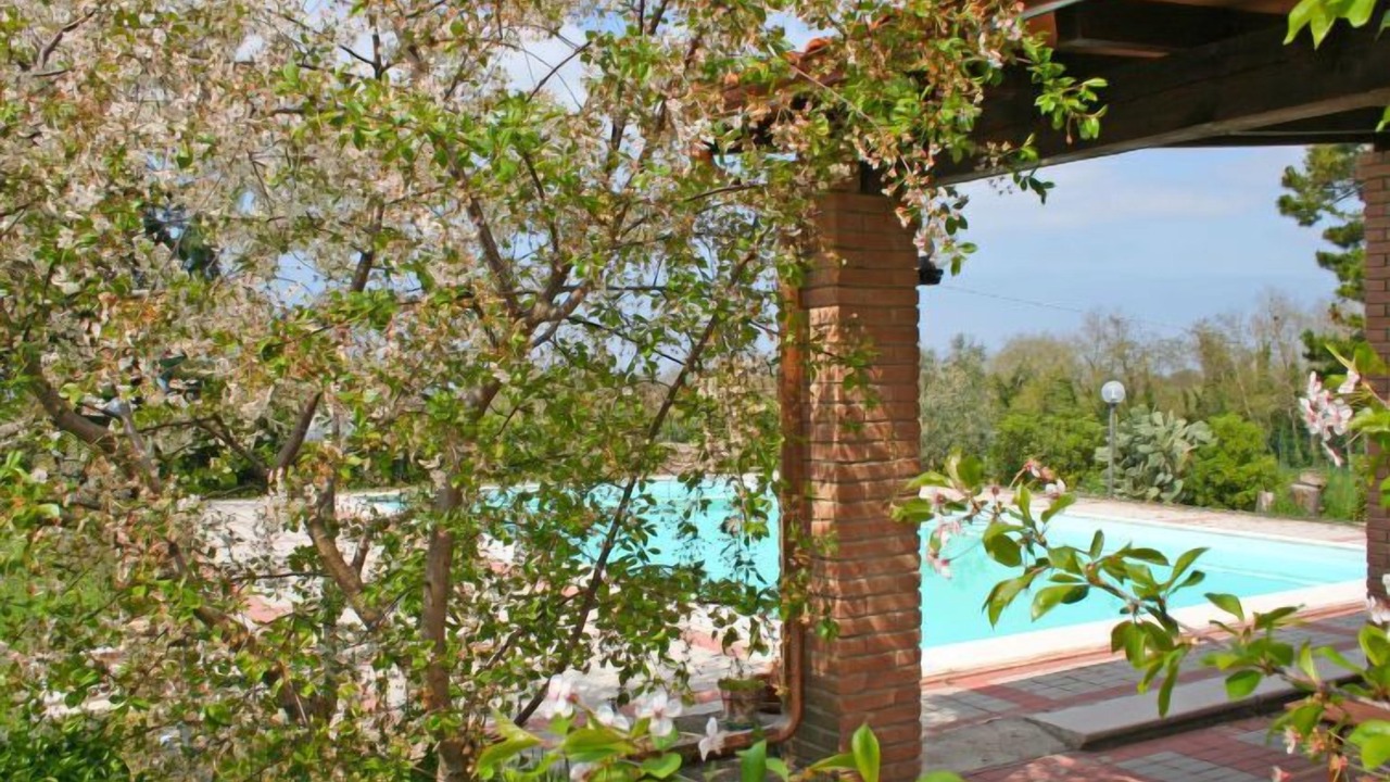 Photo of Outdoor in Bibbona