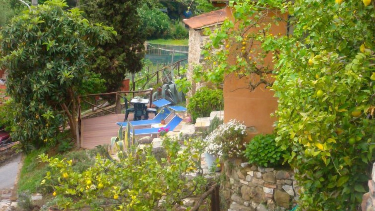 Photo of Others in Massarosa