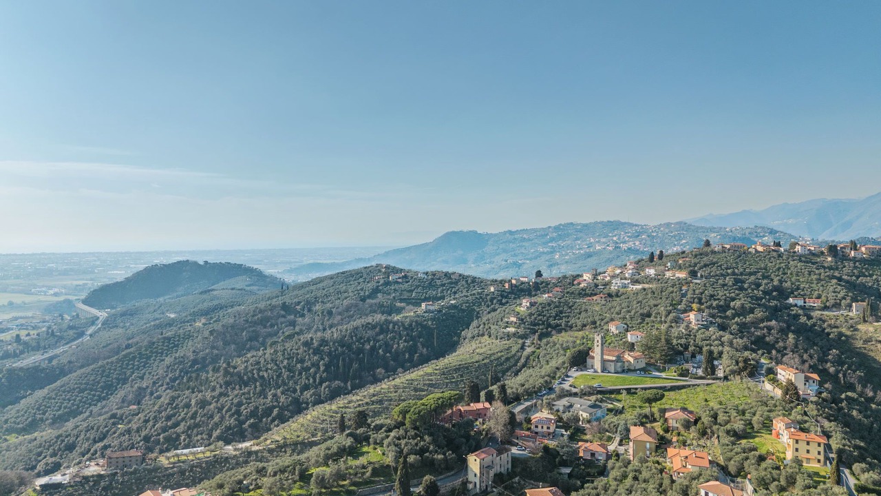 Photo of Others in Massarosa
