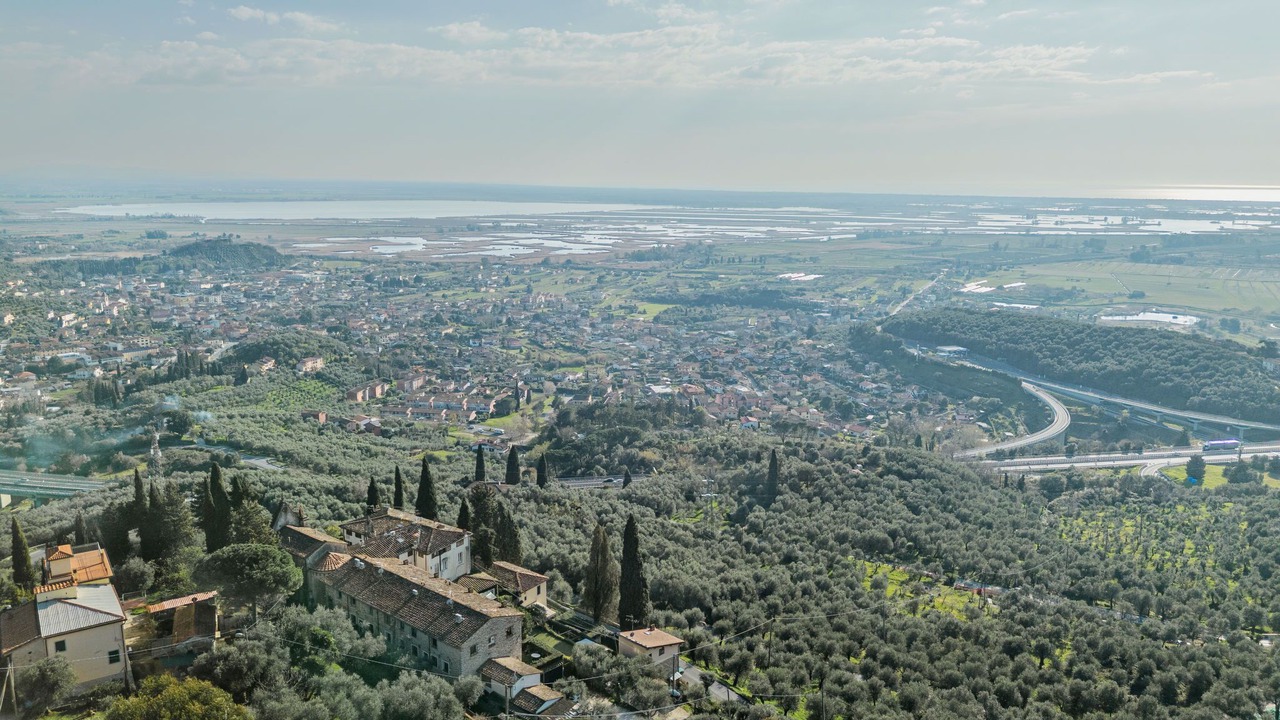 Photo of Others in Massarosa