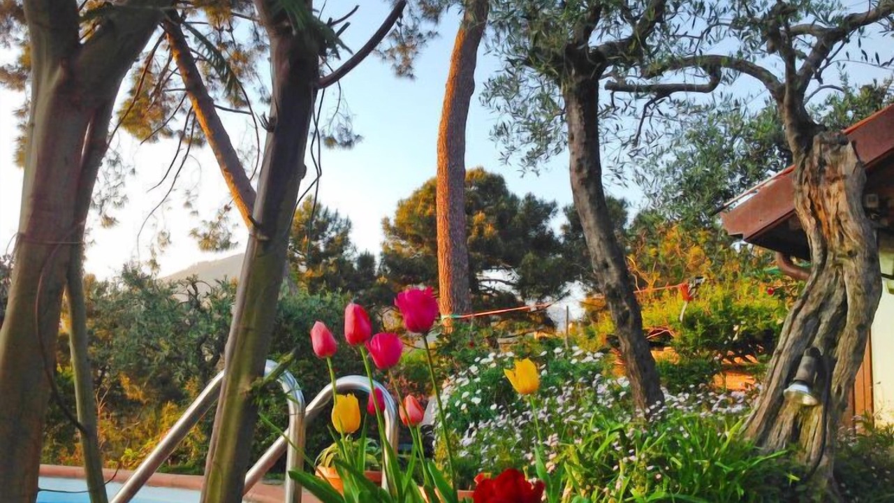 Photo of Outdoor in Massa