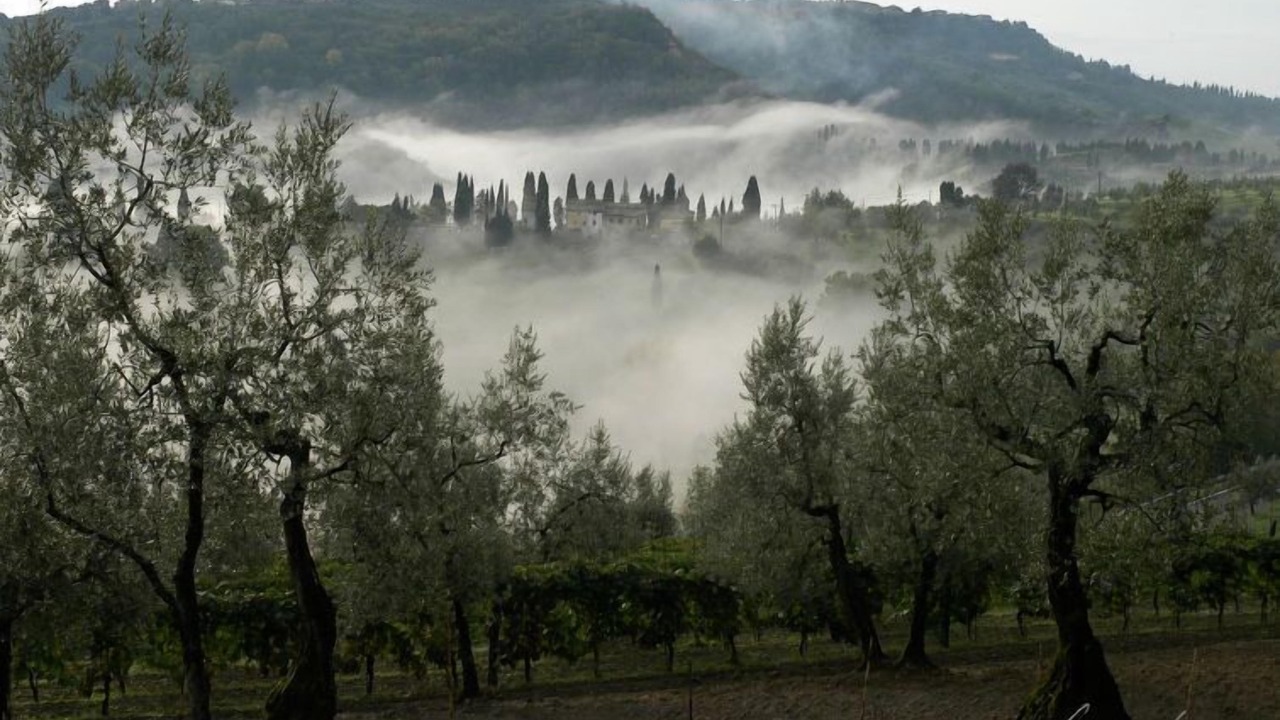 Photo of Others in Volterra