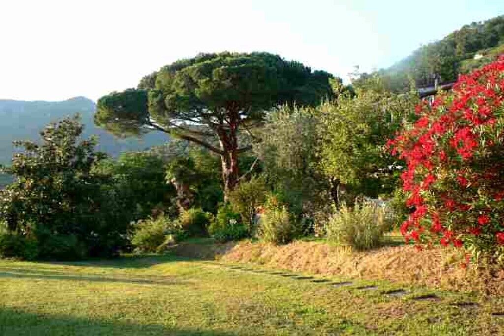 Photo of Outdoor in Camaiore