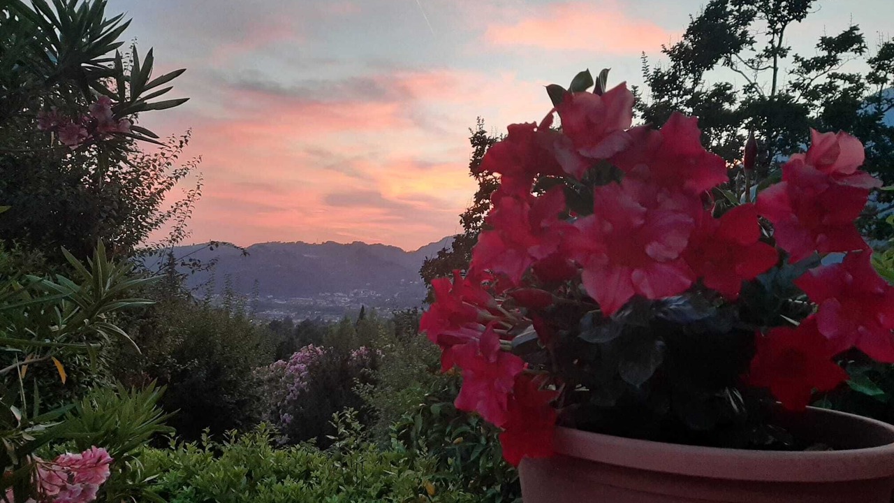 Photo of Outdoor in Camaiore
