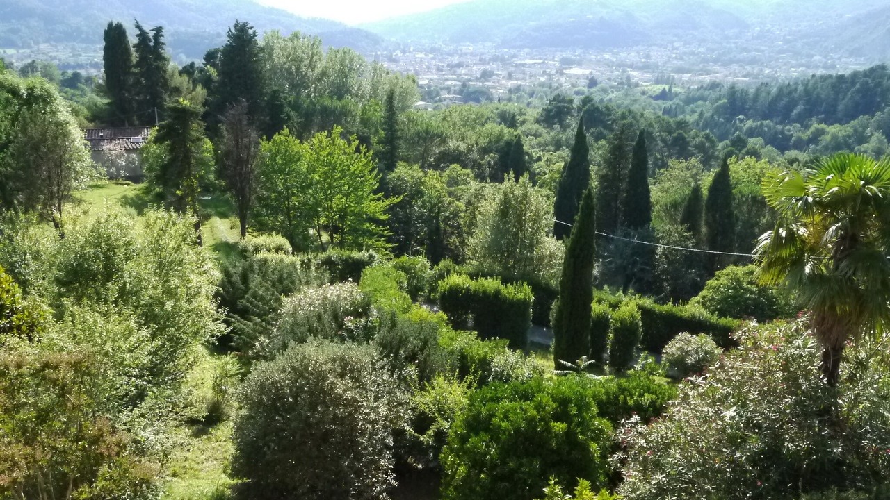 Photo of Others in Camaiore